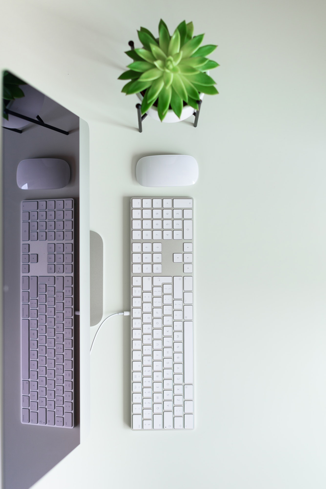 White office desk table with computer keyboard, mouse, monitor, succulent plant and other office